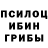 Галлюциногенные грибы Psilocybine cubensis Andriana Luchynska