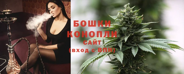 шишки Абинск