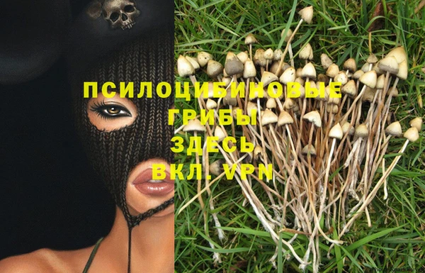 МДМА Алексин